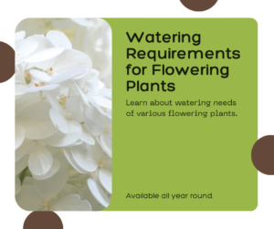 unlock the Watering Needs of Different Plants