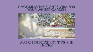 choosing the right flora for your thriving winter garden
