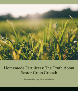 Discover if Homemade Fertilizers Really Make Your Grass Grow Faster