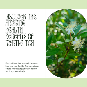 Discover the Amazing Health Benefits of Myrtle Tea
