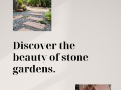 discover the benefits of using stones in your landscape design​