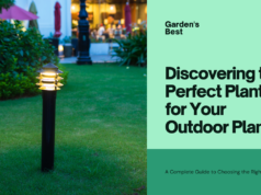 ​discover the best ty​pe of planter for outdoors?