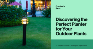 ​discover the best ty​pe of planter for outdoors?