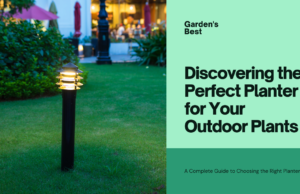 ​discover the best ty​pe of planter for outdoors?
