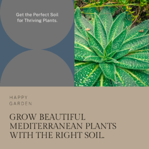 ​Discover the Perfect Soil for Thriving Mediterranean Plants