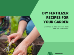 DIY Fertilizer Recipes for Every vegetable garden