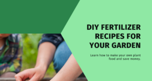 DIY Fertilizer Recipes for Every vegetable garden