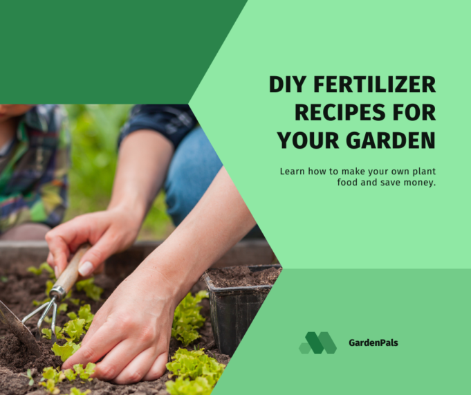 DIY Fertilizer Recipes for Every vegetable garden