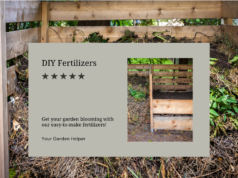 Easy DIY Fertilizers to Make Your Flowers Bloom
