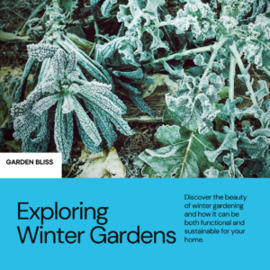 Embracing the beauty and functionality of a winter garden
