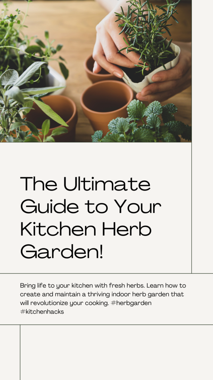 Explore The Perfect Indoor Herb Garden For Your Kitchen Explore the Perfect Indoor Herb Garden for Your Kitchen