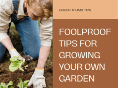 ​Foolproof Gardening Tips for Absolute Beginners