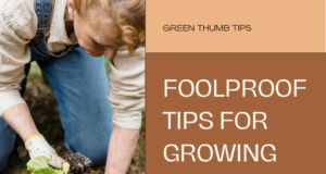 ​Foolproof Gardening Tips for Absolute Beginners