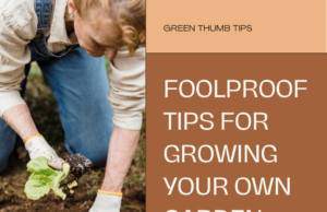 ​Foolproof Gardening Tips for Absolute Beginners