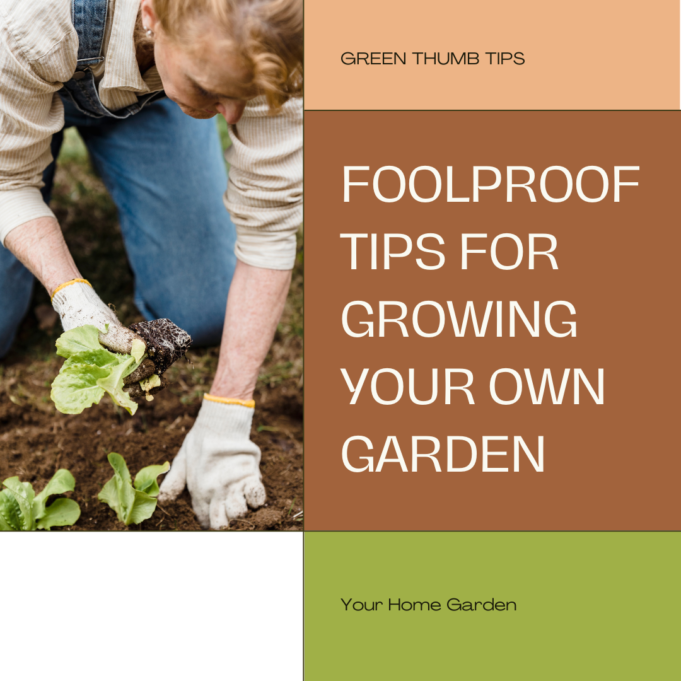 Foolproof Gardening Tips For Absolute Beginners Foolproof Gardening Tips for Absolute Beginners