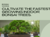 How to Cultivate the Fastest Growing Bonsai Trees Indoors