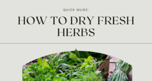 How to Dry Fresh Herbs