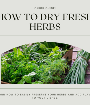 How to Dry Fresh Herbs
