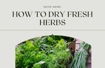 How to Dry Fresh Herbs