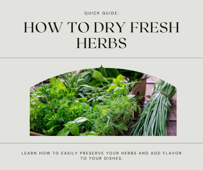 How to Dry Fresh Herbs