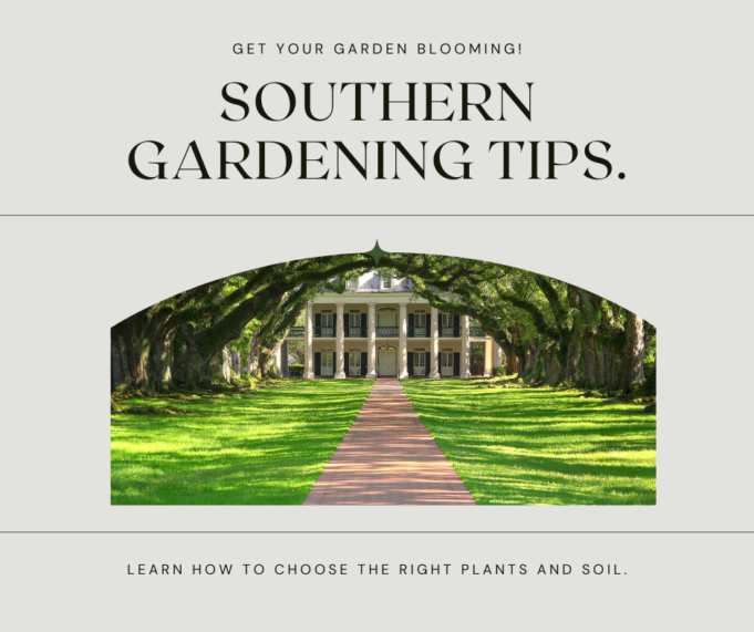 February Gardening Checklists: Tips For A Blooming Garden In The South