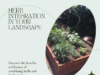 Learn how to Integrate Herbs into Your Landscape