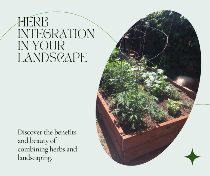 Learn How To Integrate Herbs Into Your Landscape Learn how to Integrate Herbs into Your Landscape