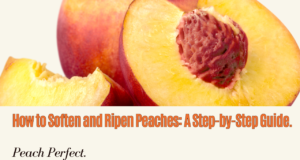 Learn how to soften and ripen peaches