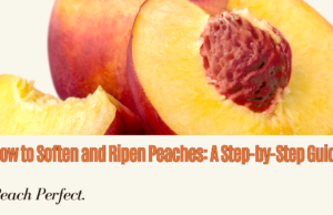 Learn how to soften and ripen peaches