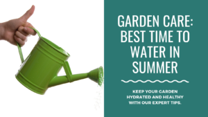 Learn the best time to water garden in Summer
