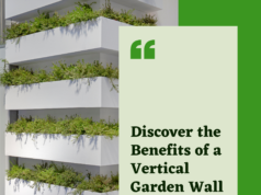 Learn why Vertical Garden Wall is a Practical Solution for Limited Spaces