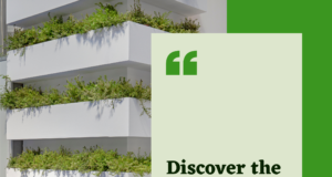 Learn why Vertical Garden Wall is a Practical Solution for Limited Spaces