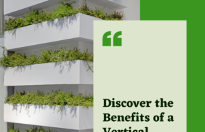 Learn why Vertical Garden Wall is a Practical Solution for Limited Spaces