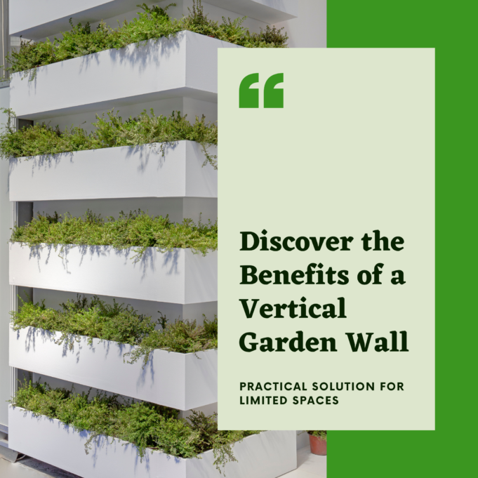 Learn Why Vertical Garden Wall Is A Practical Solution For Limited Spaces Learn why Vertical Garden Wall is a Practical Solution for Limited Spaces