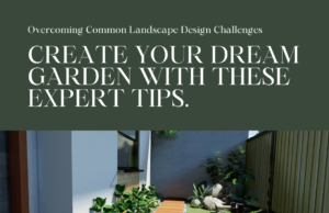 Overcome Common Landscape Design Challenges