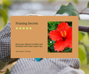 Pruning Secrets: How to Keep Your Hibiscus in Check