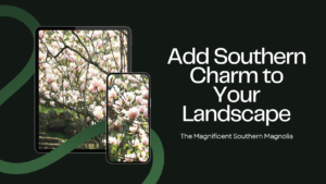 Discover Better Tree Options for Your Landscape
