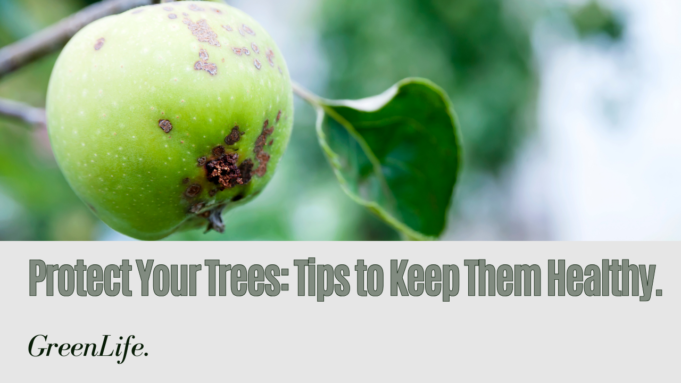 Tips to Protect Your Trees from Fatal Diseases