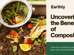 Uncover the Benefits of Composting for Improve Plant yield