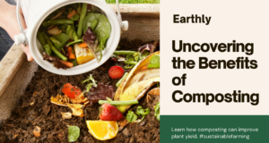 Uncover the Benefits of Composting for Improve Plant yield