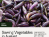 ​Uncover The Best Vegetables to Sow in August