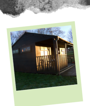 Uncover the Perfect Shed for Your Backyard Oasis