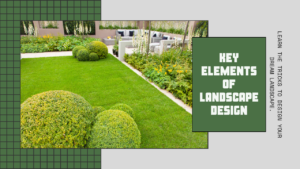 Unlock Key Elements of Landscape Design