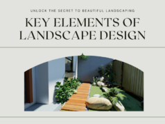 Unlock Key Elements of Landscape Design