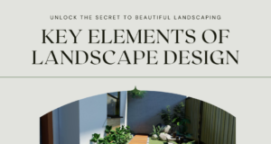 Unlock Key Elements of Landscape Design