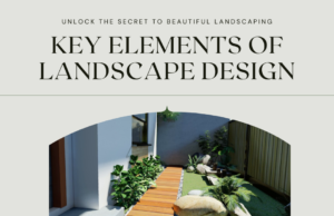 Unlock Key Elements of Landscape Design