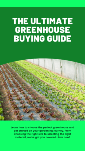 Top greenhouse buying guides
