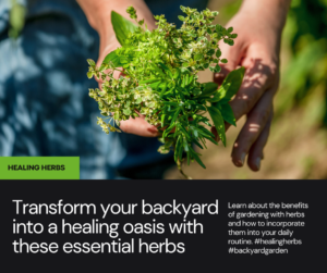 Transform Your Backyard into a Healing Oasis with These Essential Herbs