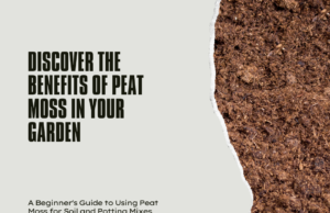 How To Use Peat Moss In Container Gardening