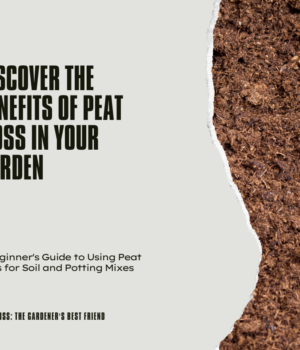 How To Use Peat Moss In Container Gardening
